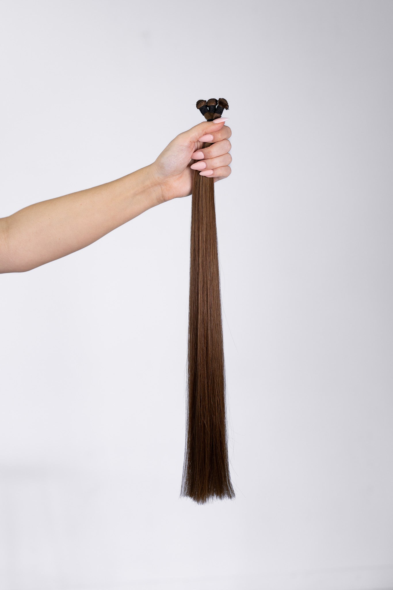 Chestnut - #P3/6
