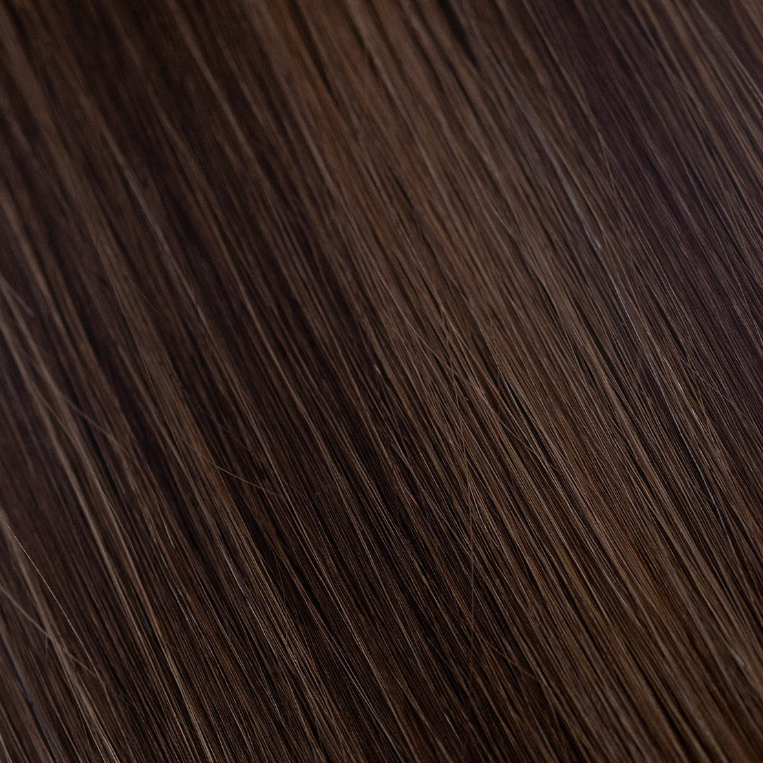 Chestnut - #P3/6